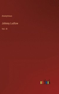 bokomslag Johnny Ludlow