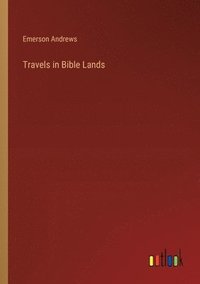 bokomslag Travels in Bible Lands