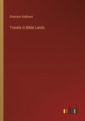 bokomslag Travels in Bible Lands