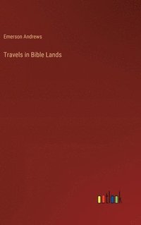 bokomslag Travels in Bible Lands