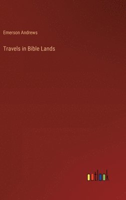 bokomslag Travels in Bible Lands