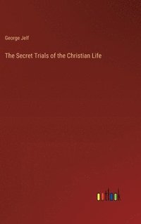bokomslag Secret Trials of the Christian Life