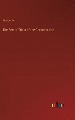 bokomslag Secret Trials of the Christian Life