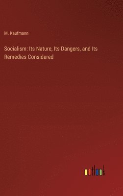 bokomslag Socialism