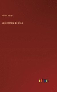 bokomslag Lepidoptera Exotica