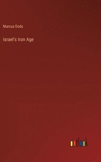 bokomslag Israel's Iron Age