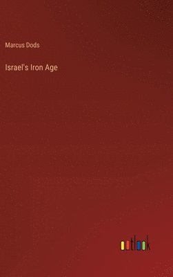bokomslag Israel's Iron Age