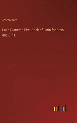 bokomslag Latin Primer