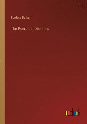 bokomslag Puerperal Diseases