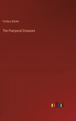 bokomslag Puerperal Diseases