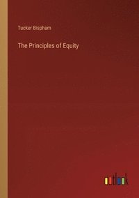 bokomslag Principles of Equity