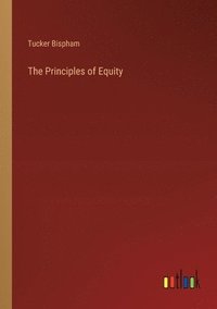 bokomslag The Principles of Equity