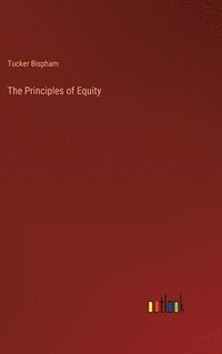 bokomslag The Principles of Equity