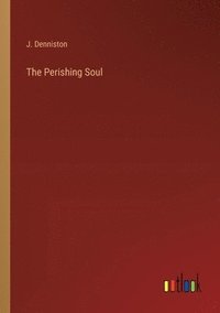 bokomslag Perishing Soul