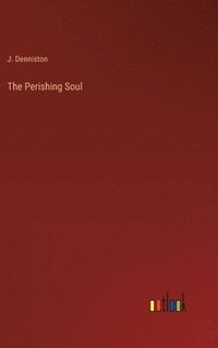 bokomslag Perishing Soul