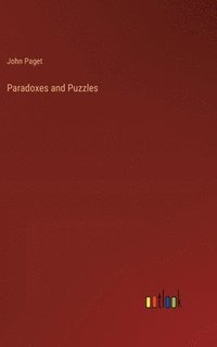 bokomslag Paradoxes and Puzzles