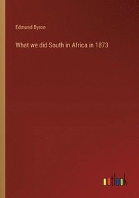 bokomslag What we did South in Africa in 1873