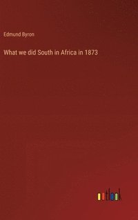 bokomslag What we did South in Africa in 1873