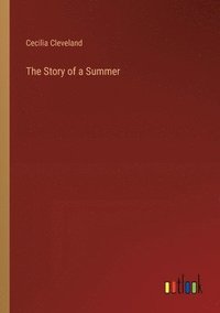 bokomslag The Story of a Summer