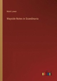 bokomslag Wayside Notes in Scandinavia