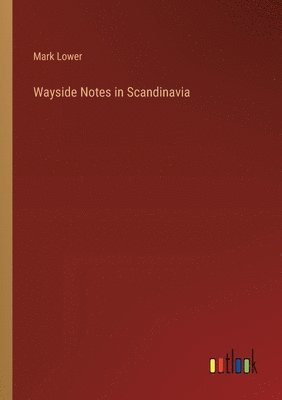 bokomslag Wayside Notes in Scandinavia