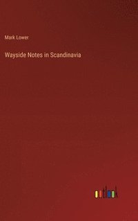 bokomslag Wayside Notes in Scandinavia