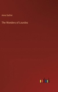 bokomslag The Wonders of Lourdes
