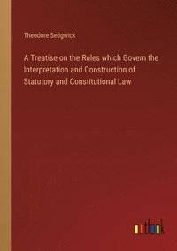 bokomslag A Treatise on the Rules which Govern the Interpretation and Construction of Statutory and Constitutional Law