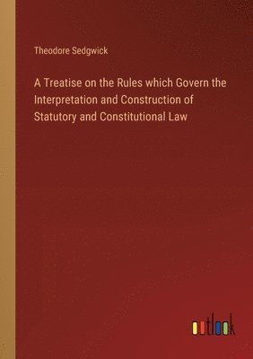 bokomslag A Treatise on the Rules which Govern the Interpretation and Construction of Statutory and Constitutional Law