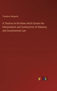 bokomslag A Treatise on the Rules which Govern the Interpretation and Construction of Statutory and Constitutional Law