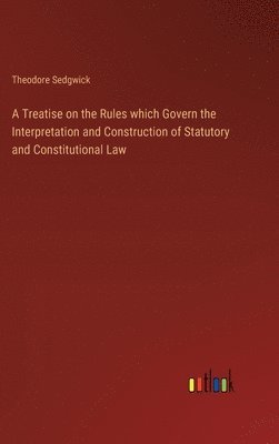 bokomslag A Treatise on the Rules which Govern the Interpretation and Construction of Statutory and Constitutional Law
