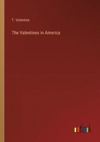 bokomslag The Valentines in America