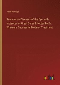 bokomslag Remarks on Diseases of the Eye