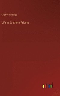 bokomslag Life in Southern Prisons