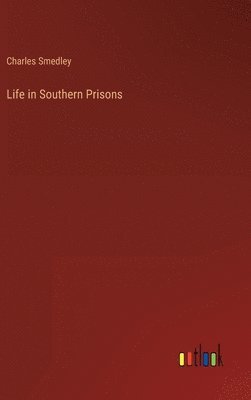 bokomslag Life in Southern Prisons
