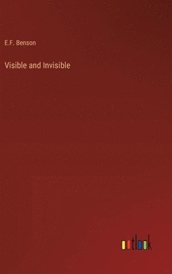 bokomslag Visible and Invisible