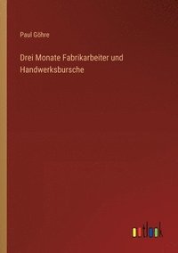 bokomslag Drei Monate Fabrikarbeiter und Handwerksbursche