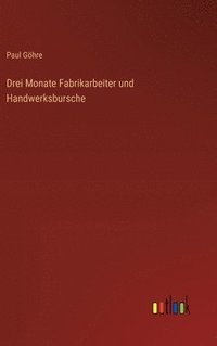 bokomslag Drei Monate Fabrikarbeiter und Handwerksbursche