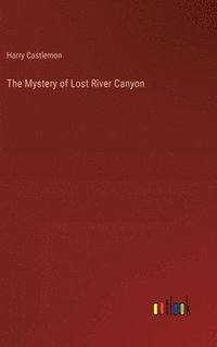 bokomslag Mystery of Lost River Canyon