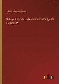 bokomslag Sulikki: Kertomus pakanuuden viime ajoilta Hämeessä