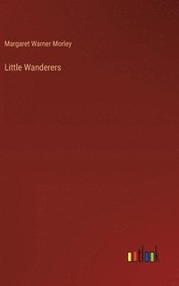 bokomslag Little Wanderers