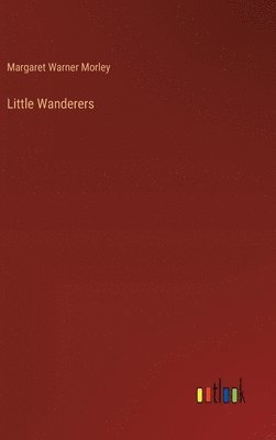 bokomslag Little Wanderers