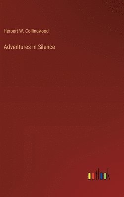 Adventures in Silence
