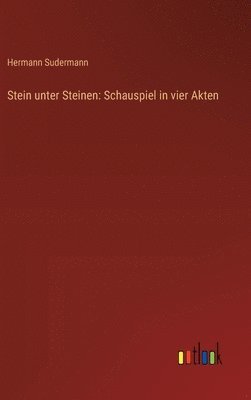 Stein unter Steinen 1