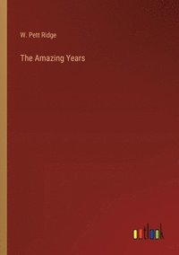 bokomslag Amazing Years