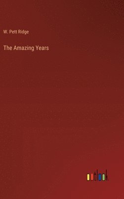 bokomslag Amazing Years