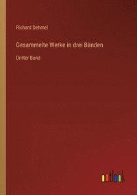 bokomslag Gesammelte Werke in drei Bänden: Dritter Band