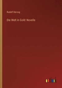 bokomslag Die Welt in Gold