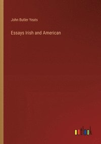 bokomslag Essays Irish and American