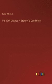 bokomslag The 13th District